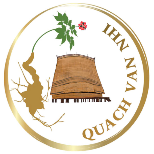 Sâm Ngọc Linh Quách Văn Nhi